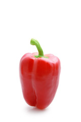 Red paprika on a white background
