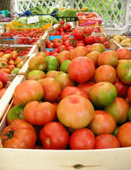 Fototapeta na wymiar Tomaten auf dem Markt
