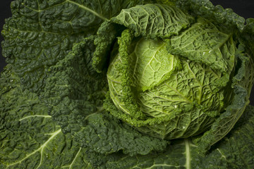 Obraz premium Savoy Cabbage