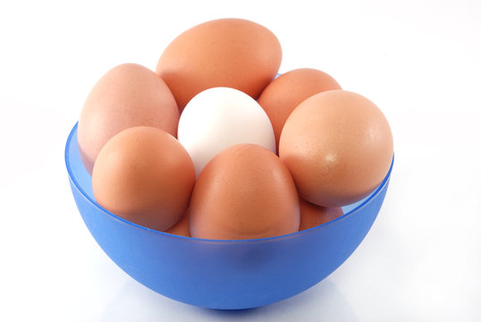 Chicken eggs in blue dish