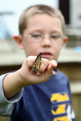 young boy holiding monarch butterfy on his finger