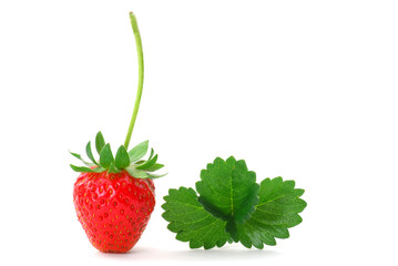 Strawberry and leaf studio isolated on white background