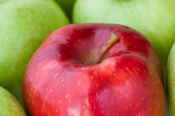 one red apple mixed in with a bunch of green apples