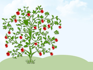 Apple tree on green hill with blue sky