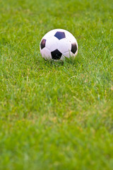 Soccer ball on grass field