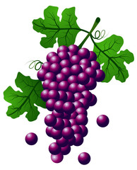 Grapes