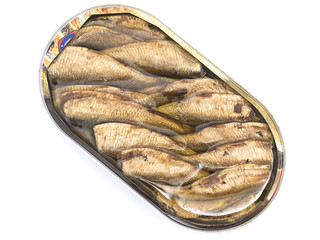 sprat against the white background