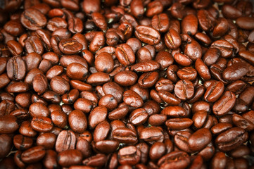 Fresh Roasted Coffee Beans, Espresso, Java w/ rich color