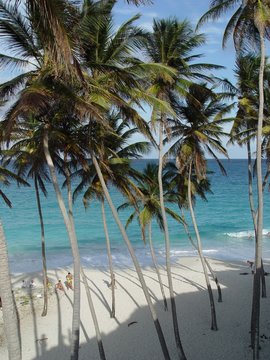 Bottom Bay Beach, Barbados