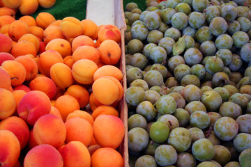 Reine claude et abricots