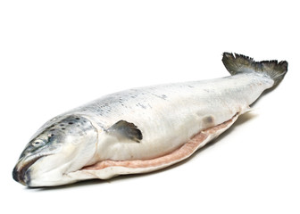 Fresh raw salmon on a white background