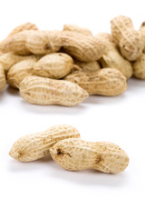 Peanuts with white background, close up