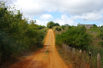 Route de terre, Campagne brésilienne. Brazilian road.