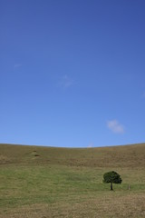 Obraz premium Kohala Mountains