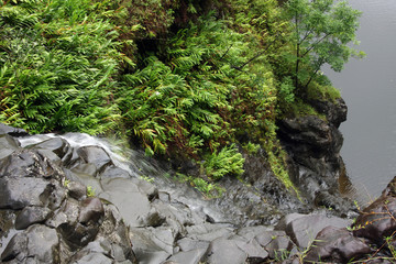 Hana Highway