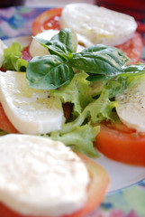 caprese salad. tomatoe, basil and mozzarella cheese
