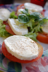 caprese salad. tomatoe, basil and mozzarella cheese