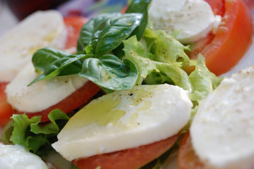 caprese salad. tomatoe, basil and mozzarella cheese