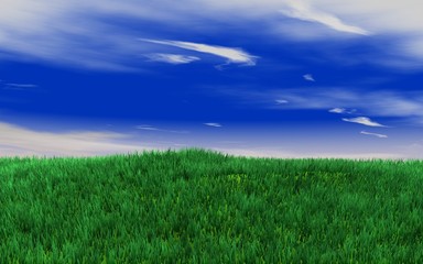 Fototapeta na wymiar green fields on the blue sky