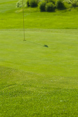 Golf club view of putting green - sport