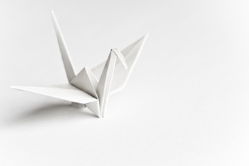 An origami bird on a white background - obrazy, fototapety, plakaty