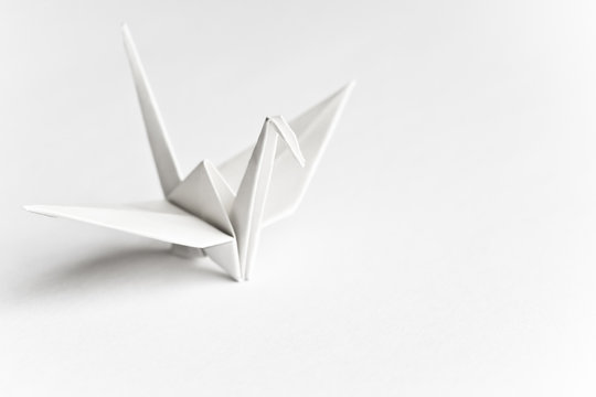 An origami bird on a white background