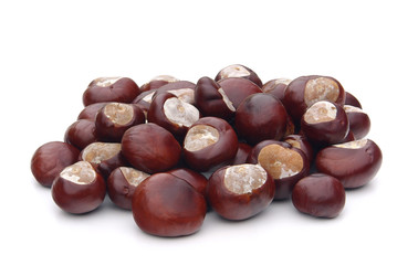 Kastanie - conker 13