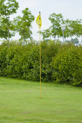 Obraz premium Golf club view of putting green - sport