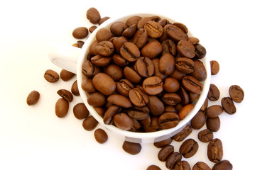 tasse