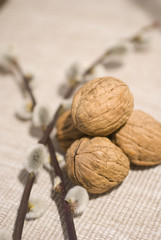 colors of autumn, composition with autumnal fruits