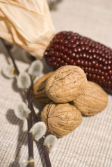 colors of autumn, composition with autumnal fruits