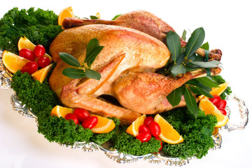 Garnished roasted turkey on platter over white background .