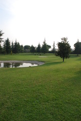 Fototapeta premium green italian garden