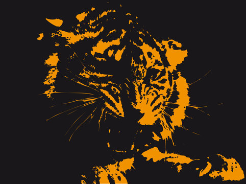 Tiger vector