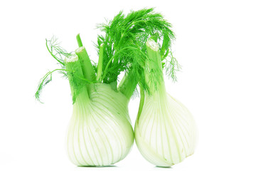 finocchio