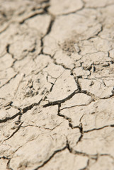 Dry field of cracked earth