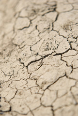 Dry field of cracked earth