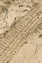 country land Dry field of cracked earth