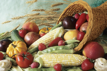 harvest cornucopia © Janice Hazeldine