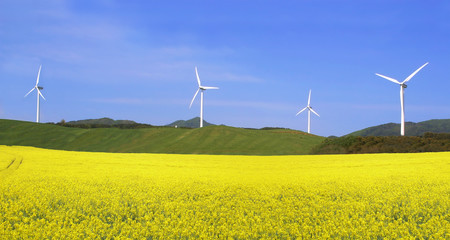 énergie verte