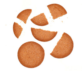 AboutBiscuit