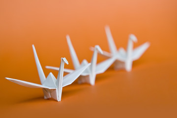 Three white origami birds lining up on an orange background