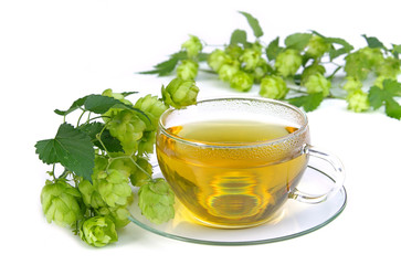 Tee Hopfen - tea hop 03