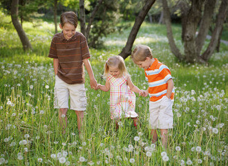 Fototapeta premium Nature Walk