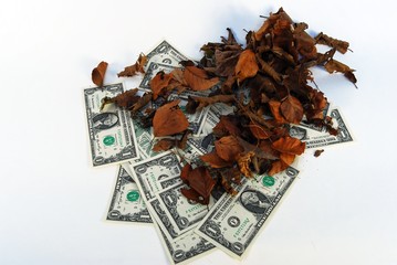 Autumn of investment