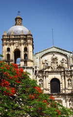 Santo Domingo with Flowers