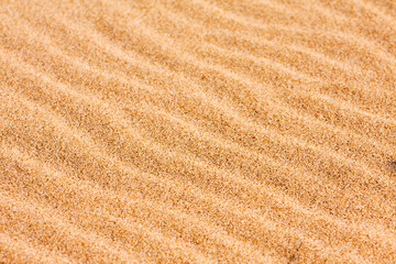 Rippel patterns blown by the wind on the beach sand