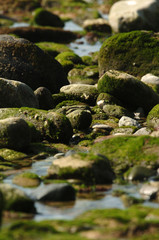 Fototapeta na wymiar beach rocks