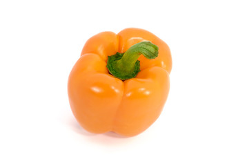 One orange pepper isolated on white