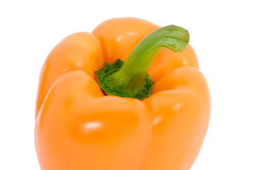 One orange pepper isolated on white